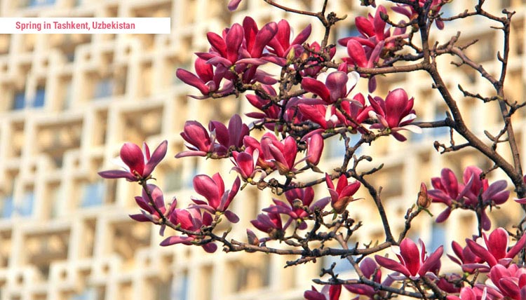 Image with missing alt attribute found on advantour.com