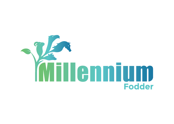 Image with missing alt attribute found on adziv.com