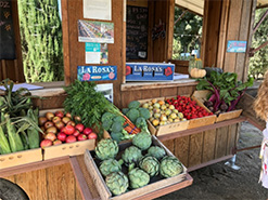 Image with missing alt attribute found on aicr.org