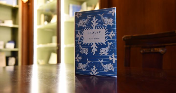 Image with missing alt attribute found on albertine.com