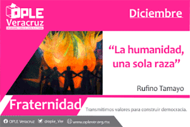 Image with missing alt attribute found on alcalorpolitico.com