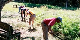 Image with missing alt attribute found on alcalorpolitico.com