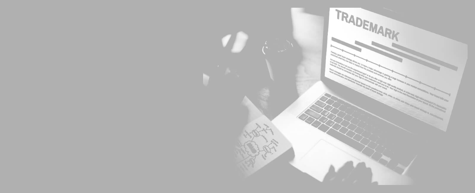 Image with missing alt attribute found on alonika.in