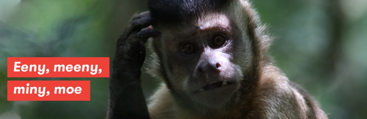 Image with missing alt attribute found on altibox.no