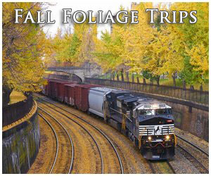 Image with missing alt attribute found on american-rails.com