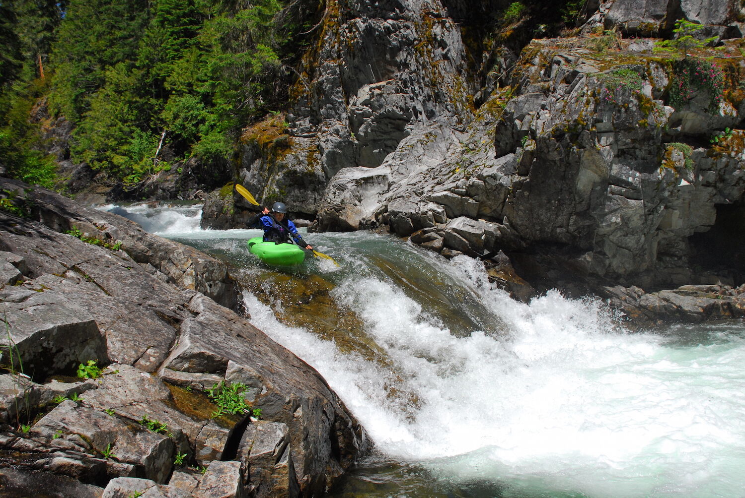 article photo 34318.jpg