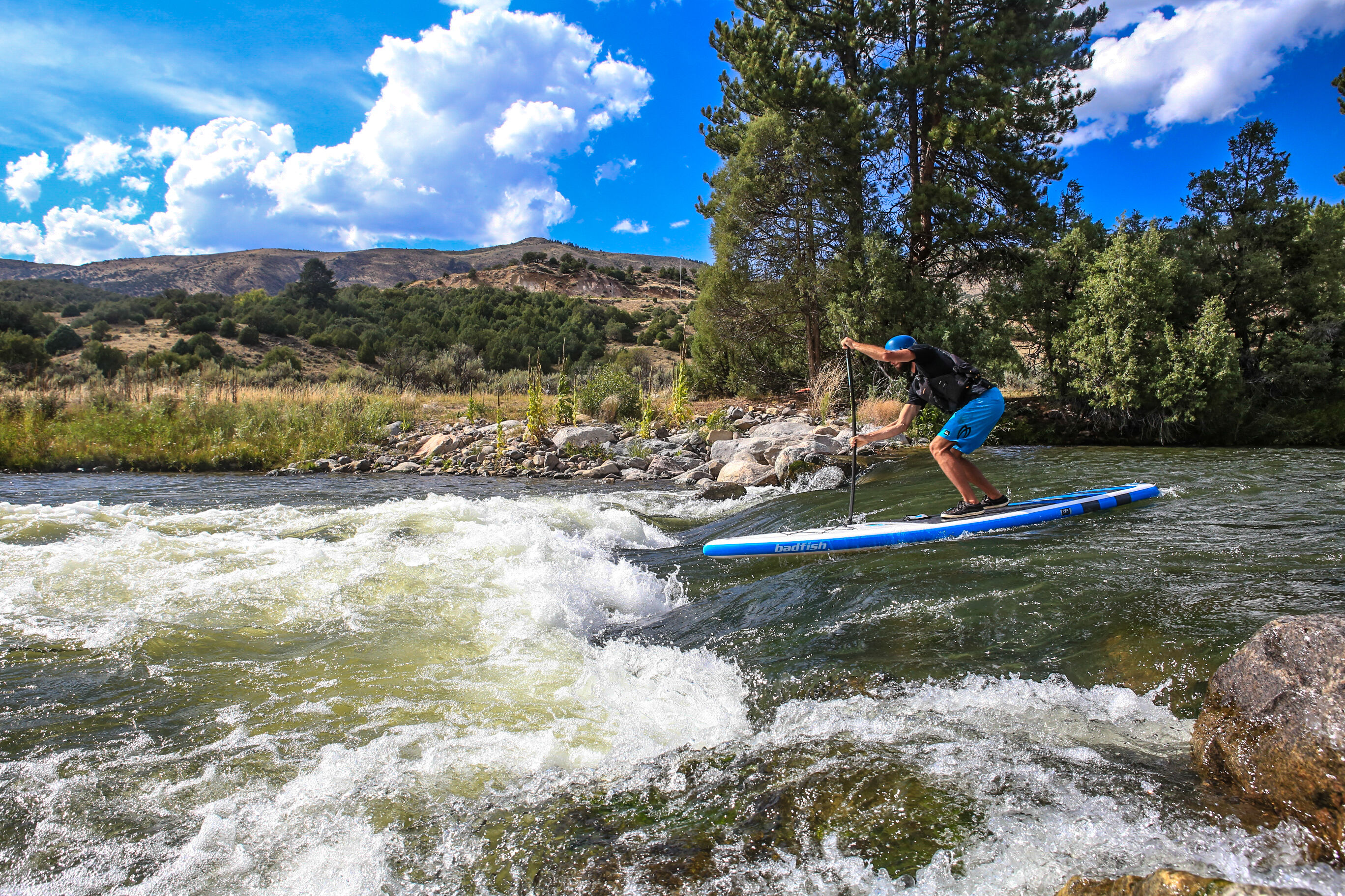 article photo 34323.jpg