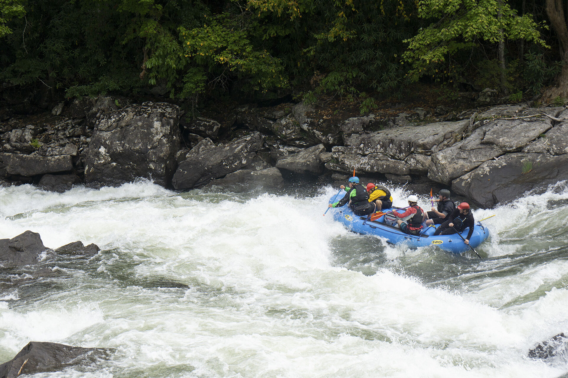 article photo 34324.jpg