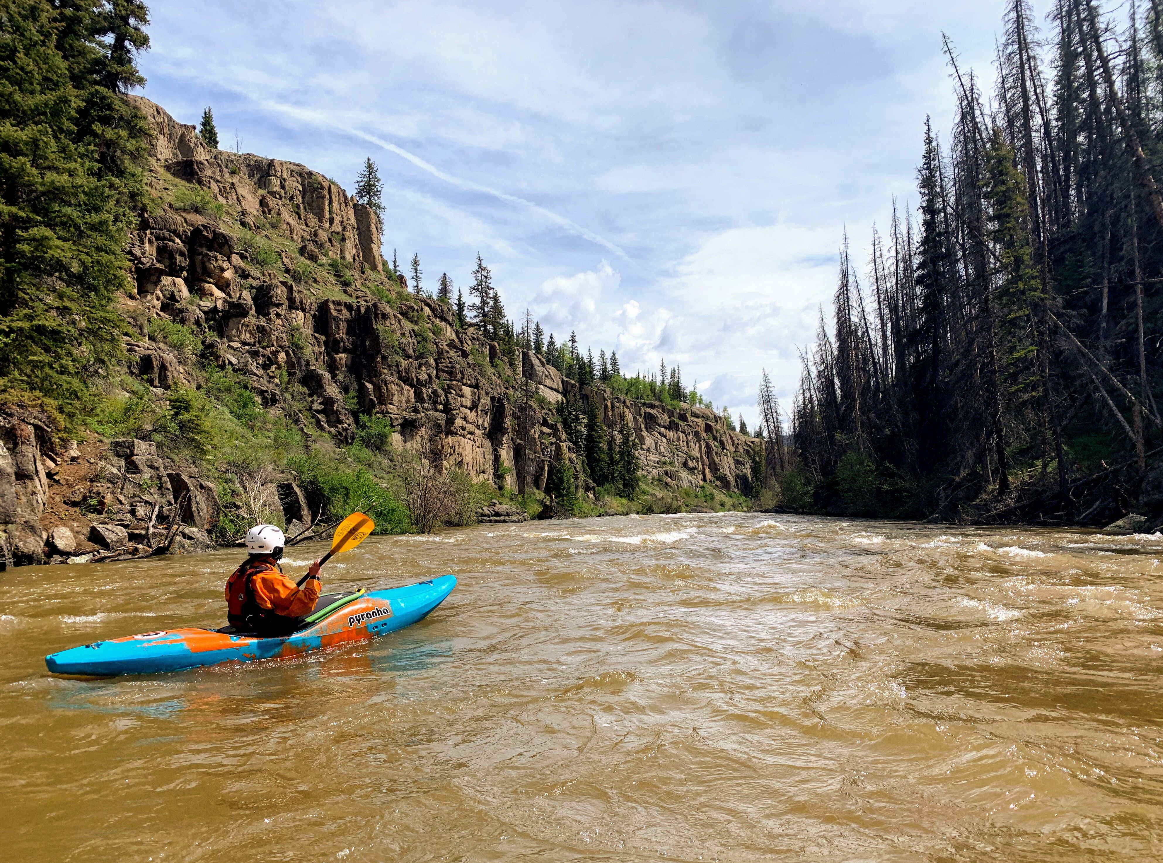 article photo 34325.jpg