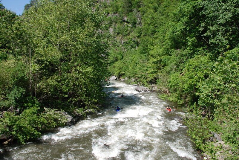 article photo 34326.jpg