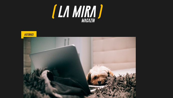 Image with missing alt attribute found on amic.media