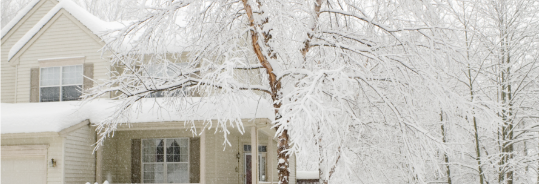 Image with missing alt attribute found on amica.com