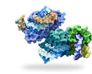 Image with missing alt attribute found on amicusrx.com