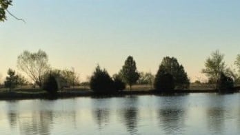 Image with missing alt attribute found on rootsweb.com