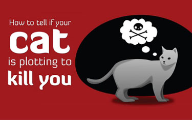 Image with missing alt attribute found on andrewsmcmeel.com