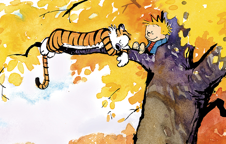 Image with missing alt attribute found on andrewsmcmeel.com