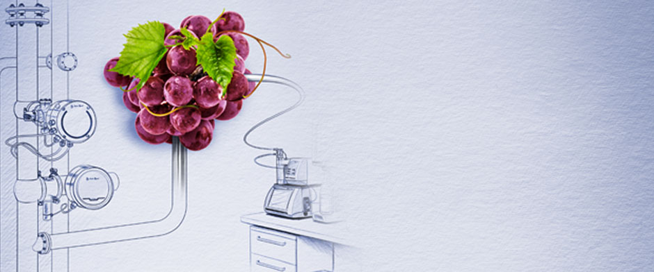 Image with missing alt attribute found on anton-paar.com