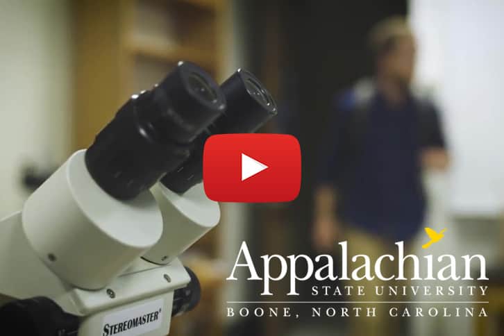 Find your sustainability