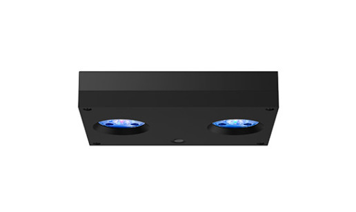 Image with missing alt attribute found on aquaillumination.com