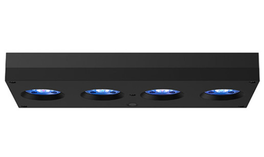 Image with missing alt attribute found on aquaillumination.com