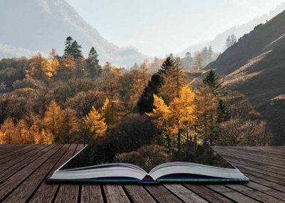 Image with missing alt attribute found on archbalt.org