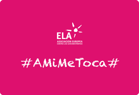 Image with missing alt attribute found on armadilloamarillo.com