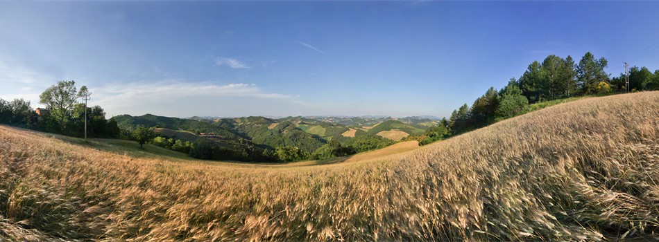 Image with missing alt attribute found on art-trade.de