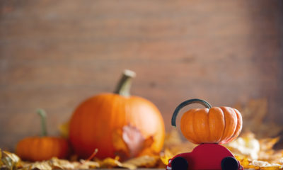 Image with missing alt attribute found on autofinancenews.net