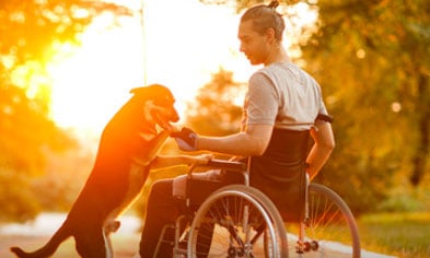 program &Scaron;KODA Handy - Voz&iacute;čk&aacute;ř v parku se psem