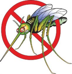 mosquito_color_index