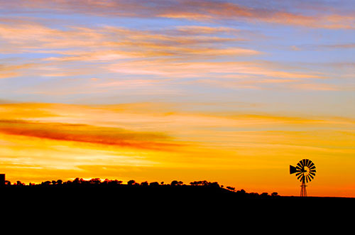 Image with missing alt attribute found on azgardens.com