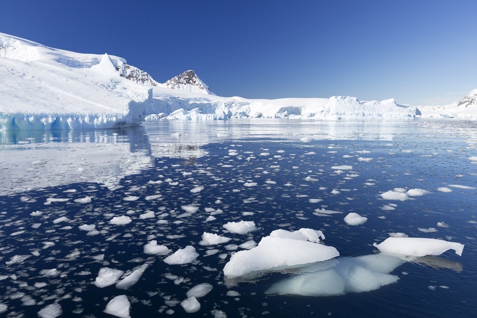 Increased Antarctic Sea Ice Could Trigger an Ice Age