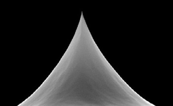 AFM Probe for Biological Sciences Applications