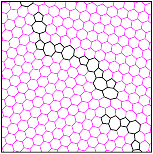 Grain Boundaries in Graphene Do Not Affect Spin Transport