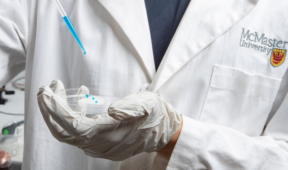 New Wrap Based on Nanoscale Surface Engineering and Chemistry Repels All Bacteria