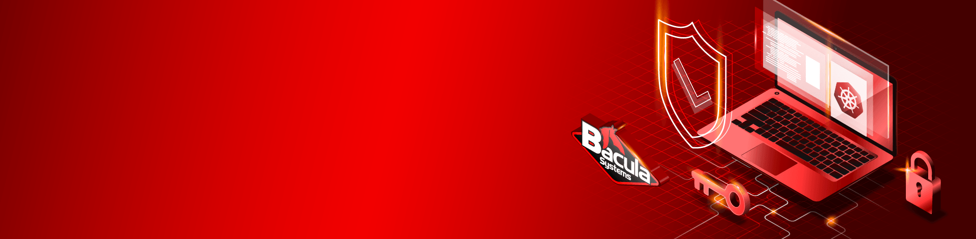 Image with missing alt attribute found on baculasystems.com