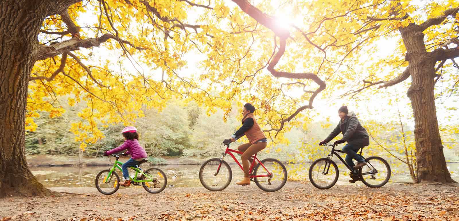 Image with missing alt attribute found on bankfinancial.com