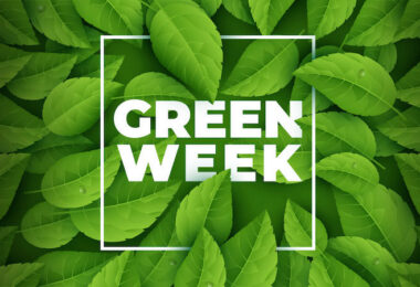 Image with missing alt attribute found on basicthinking.de