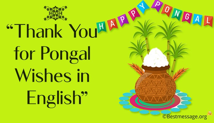 Thank You Pongal Messages - Pongal Thank You Wishes