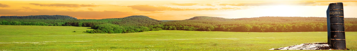 Image with missing alt attribute found on bibleref.com