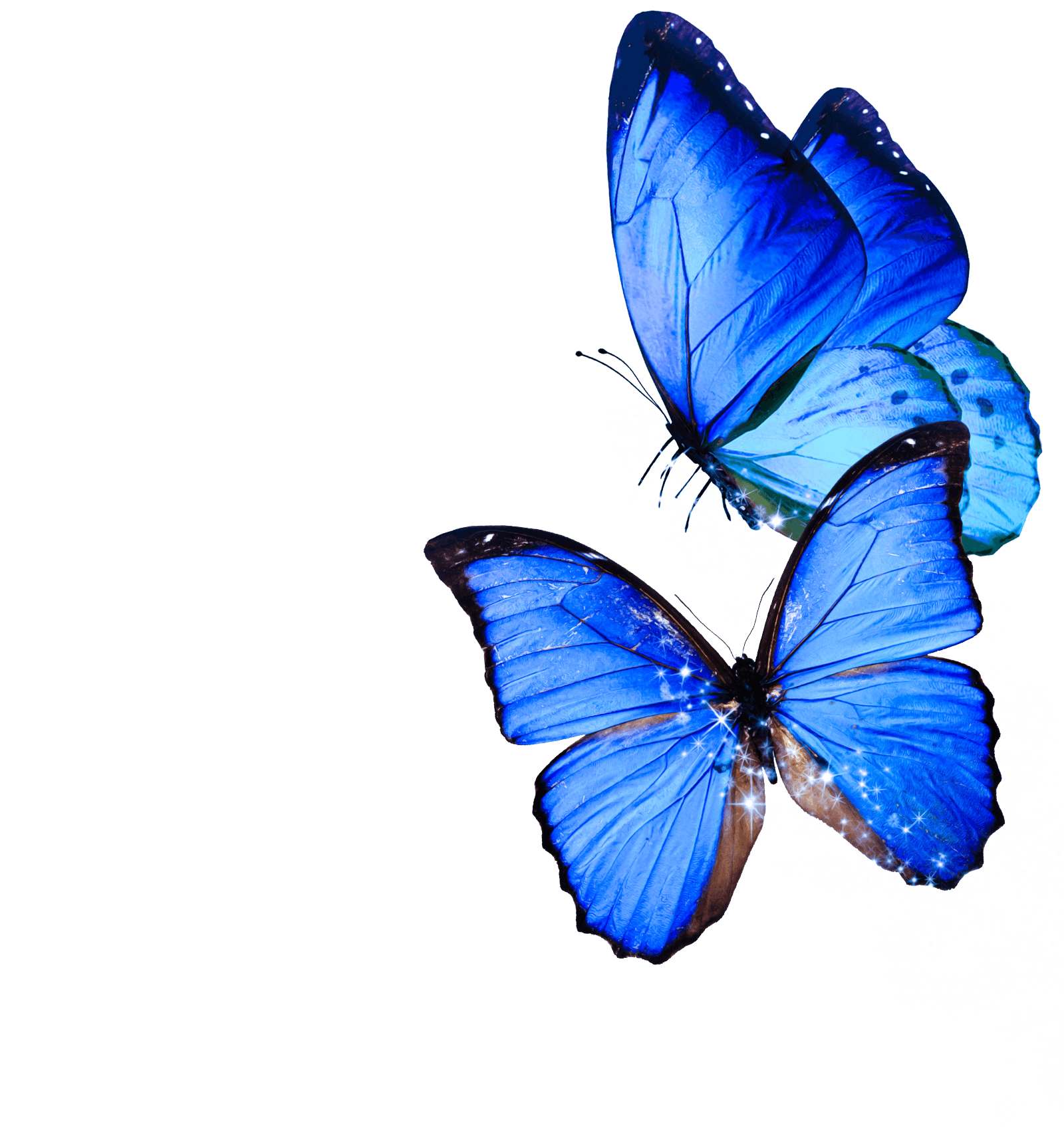 Image with missing alt attribute found on bigodino.it