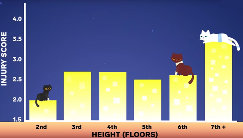 Image with missing alt attribute found on biologycorner.com