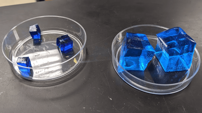 Image with missing alt attribute found on biologycorner.com