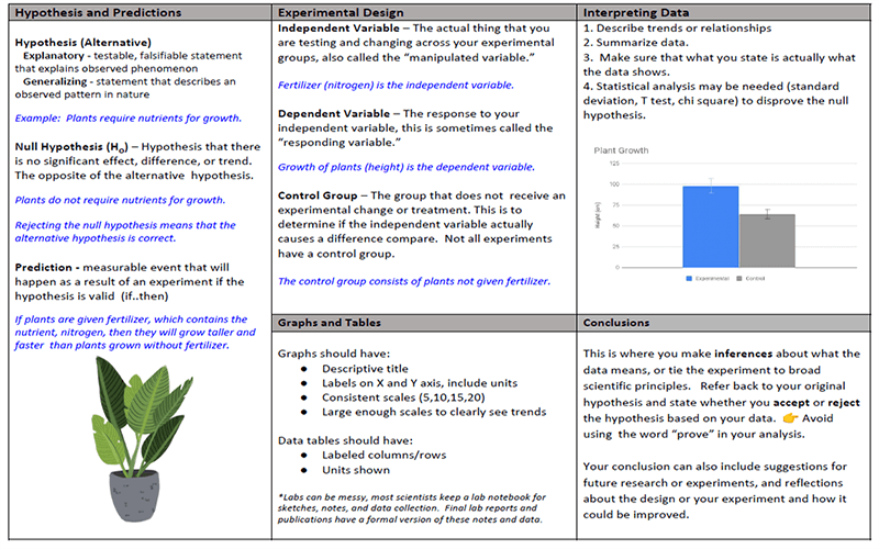 Image with missing alt attribute found on biologycorner.com