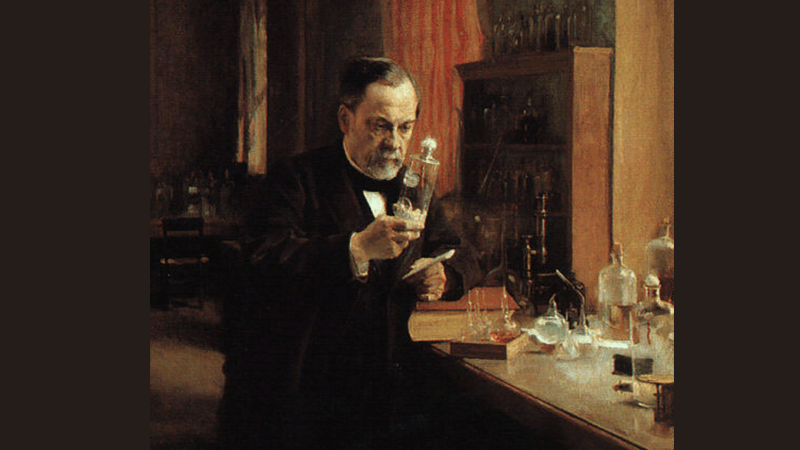 Image with missing alt attribute found on biologycorner.com