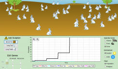 Image with missing alt attribute found on biologycorner.com