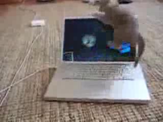 Image with missing alt attribute found on bizhat.com