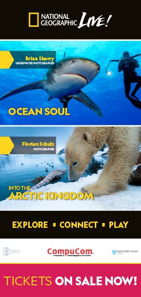 Image with missing alt attribute found on blumenthalarts.org