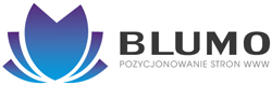 Blumo Łódź - pozycjonowanie