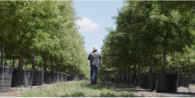 Image with missing alt attribute found on bofaml.com